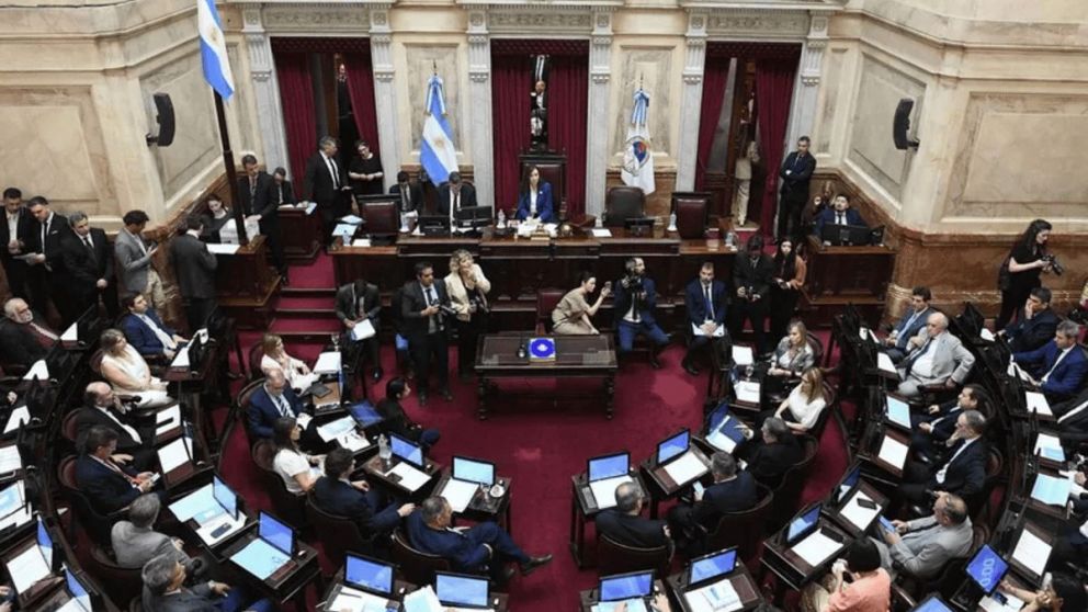 La Comisión de Asuntos Constitucionales del Senado analizará la suspensión de las PASO.