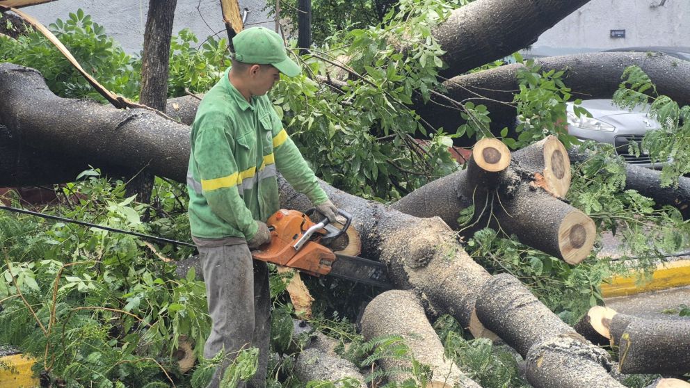 Así pasó la tormenta por la Ciudad.
