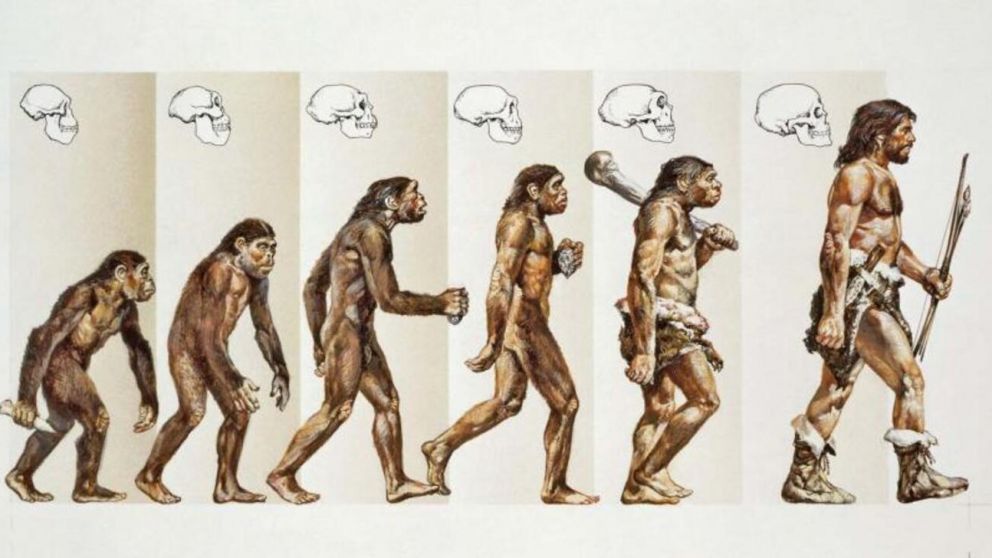 El paso de la evoluci�n del hombre (Imagen ilustrativa).