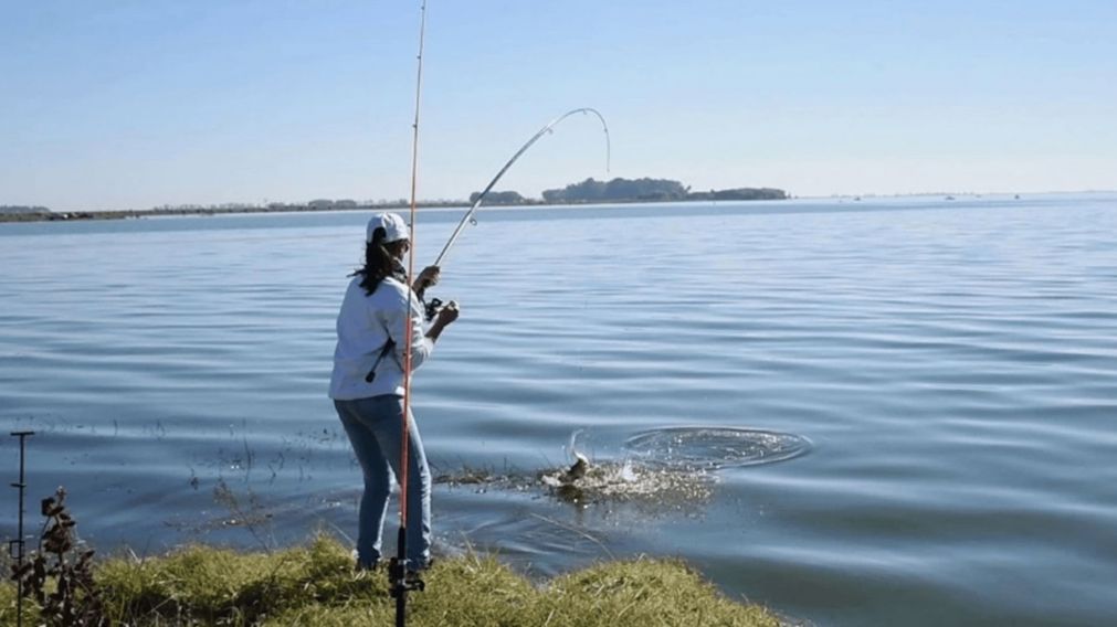 Río y lagunas: los mejores lugares para pescar en Buenos Aires.