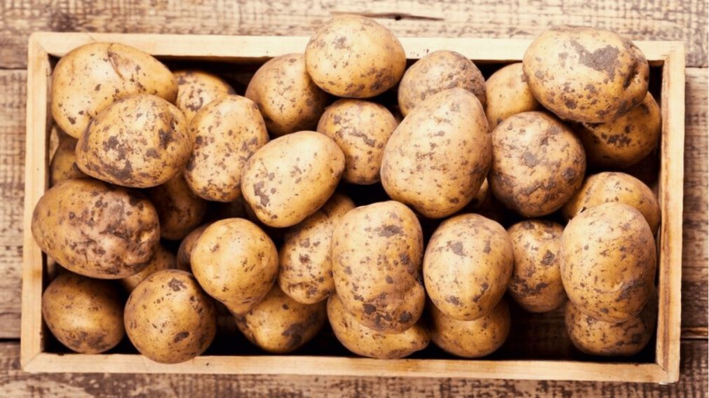¿Sabías que hay un lugar perfecto para guardar las papas que no es la despensa? (Imagen ilustrativa).