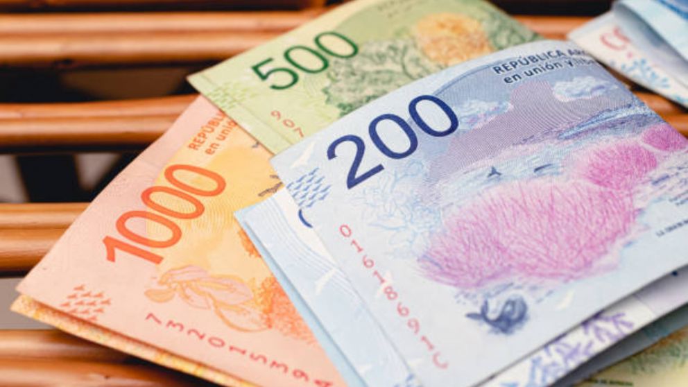 Bono de enero 2025: �Cu�nto van a cobrar los jubilados a trav�s de la ANSES?