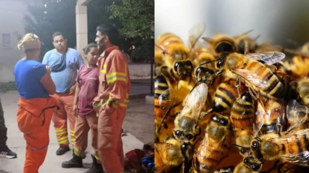 Tres bomberos resultaron afectados por las picaduras de abejas.