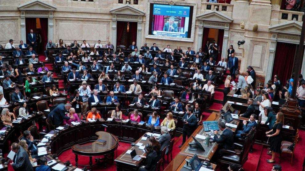 Se lleva a cabo la sesión extraordinaria en Diputados para debatir la suspensión de las PASO.