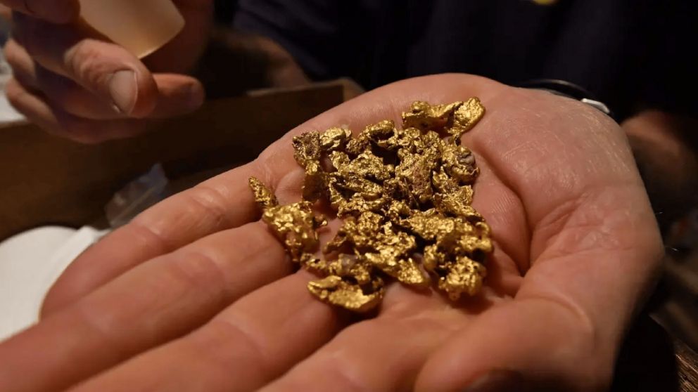 No lo tires: el peque�o dispositivo del hogar que se suele descartar pero contiene oro de 22 quilates en su interior