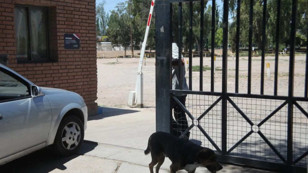 El trágico episodio ocurrió en una pileta de la escuela de verano de Marista Rugby Club (Gentileza El Sol).