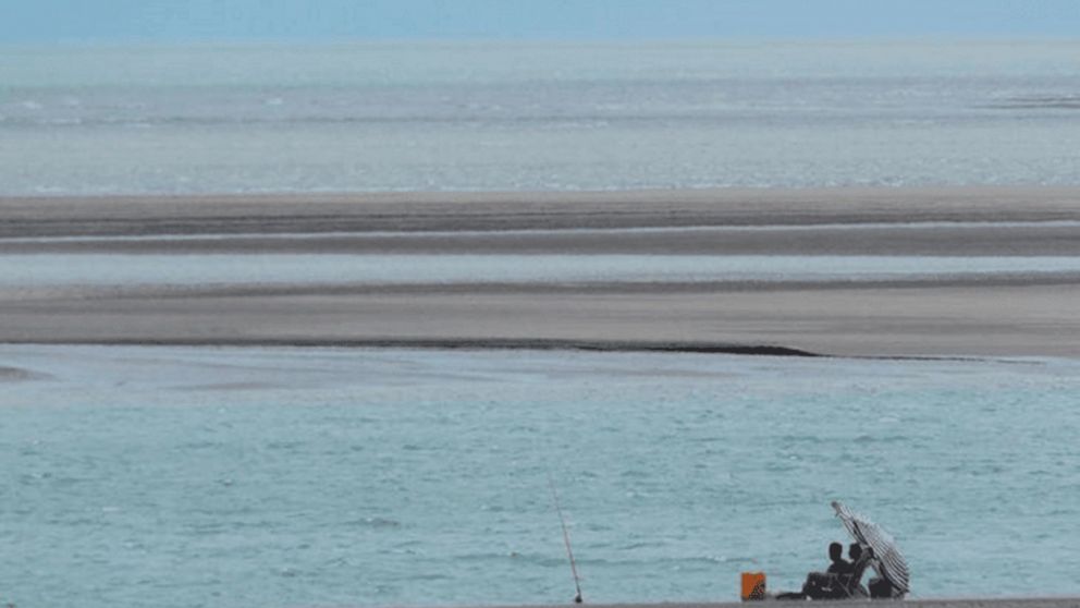 Te deja sin palabras: un oasis natural "escondido" en Buenos Aires.