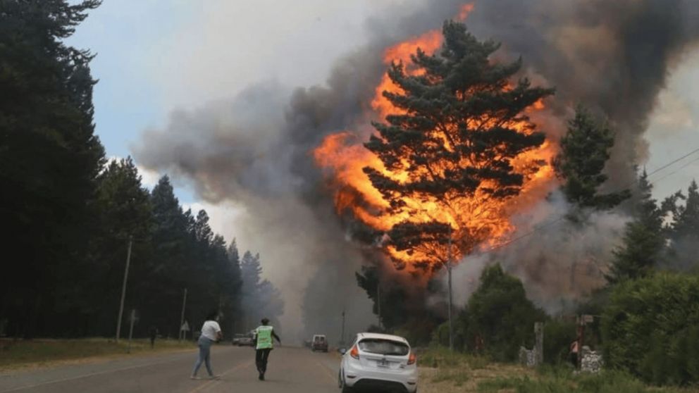 Incendios en Epuy�n confirman que fueron intencionales.