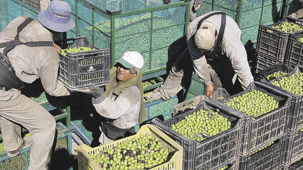 Las economías regionales aumentaron sus ventas al exterior.