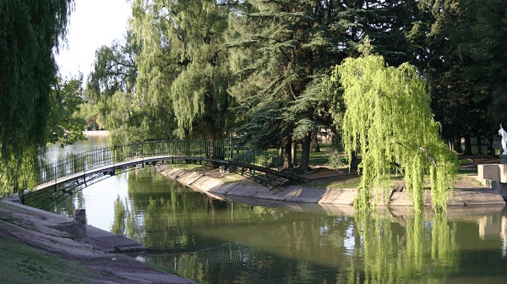 Un bosque "secreto" para disfrutar del verano sin sentir calor.