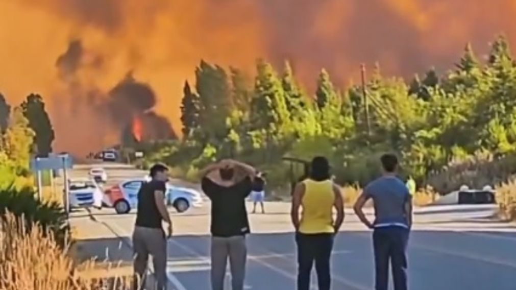 El fuego ya consumi� m�s de 1.600 hect�reas en El Bols�n.