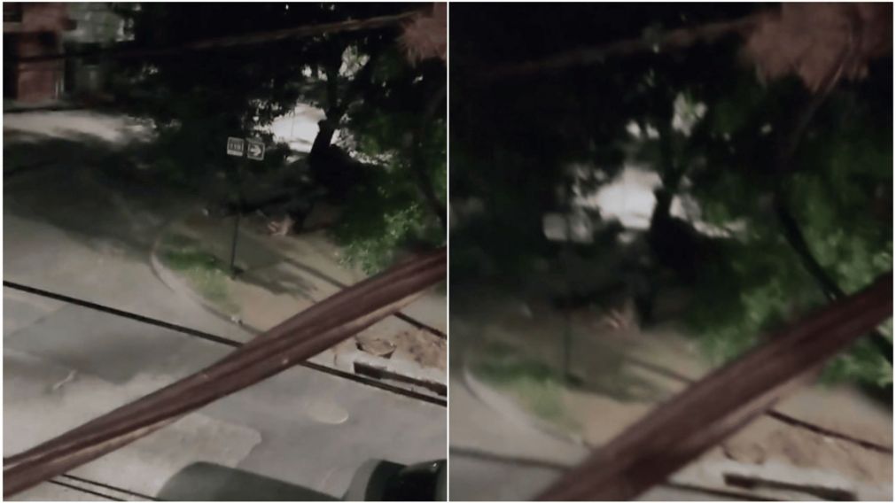 Un vecino grab� el ataque a pu�aladas contra la mujer.