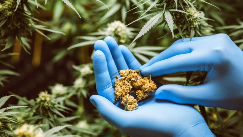 Las autoridades del ente regulador destacaron que la convocatoria ser� un "paso fundamental para comenzar a transitar el tramo final del proceso de otorgamiento de las licencias".