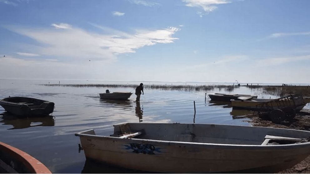 Ni Punta Indio ni Lobos: La laguna escondida entre Buenos Aires y Santa Fe que esconde una reserva natural para visitar en verano