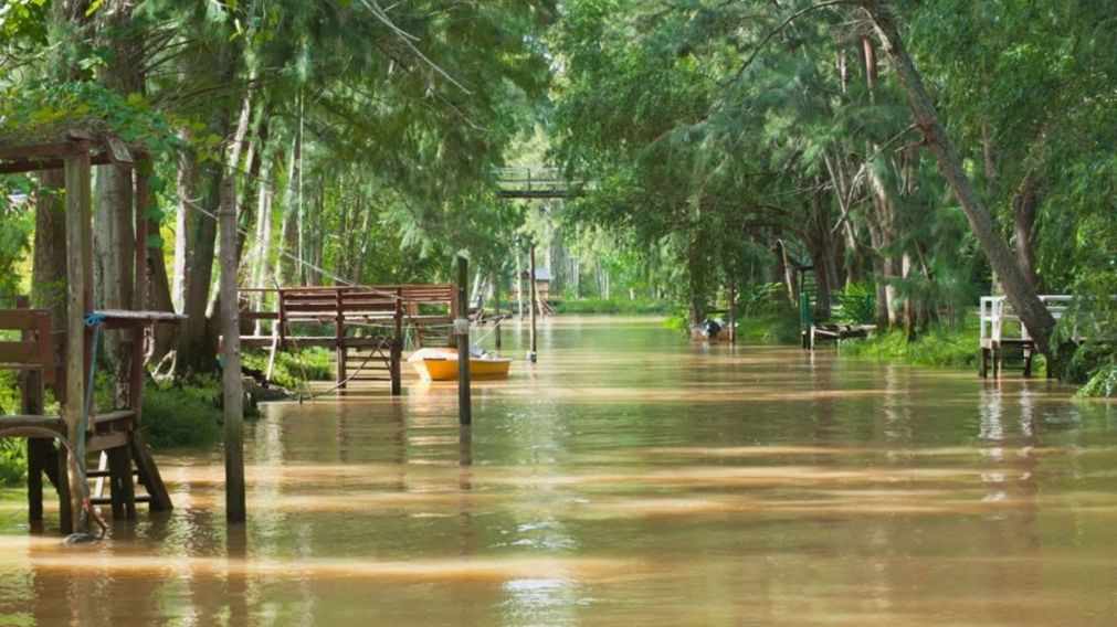 Tranquilidad y sombra para enfrentar el verano: dos reservas ecológicas del Delta que tenés que visitar.