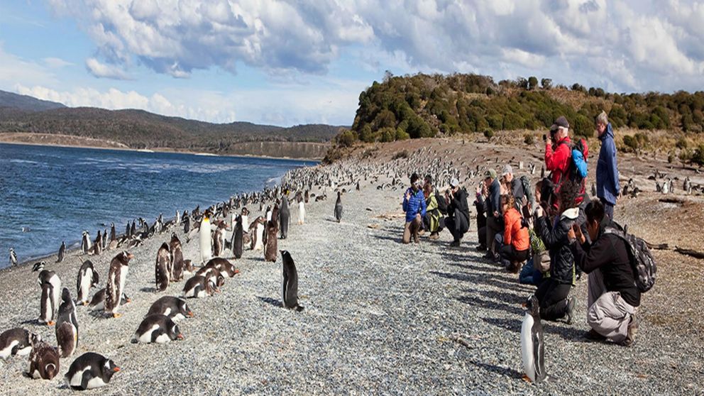 Isla Martillo, una perlita "desconocida" para conectar con naturaleza.