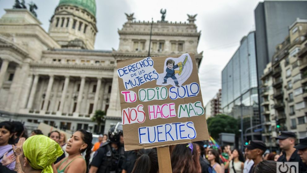 Las organizaciones feministas presentes en las marchas contra la violencia de género.