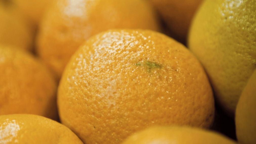 Detectaron 140 toneladas de naranjas ilegales y el Gobierno dispuso una medida para evitar más contrabando (Gentileza Argentina.gob.ar).