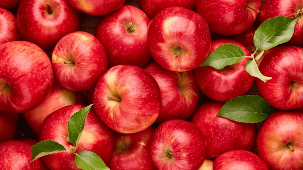 Conservar las manzanas correctamente ayuda a mantener su frescura, sabor y textura por más tiempo, evitando que se pongan feas rápido (Imagen ilustrativa).