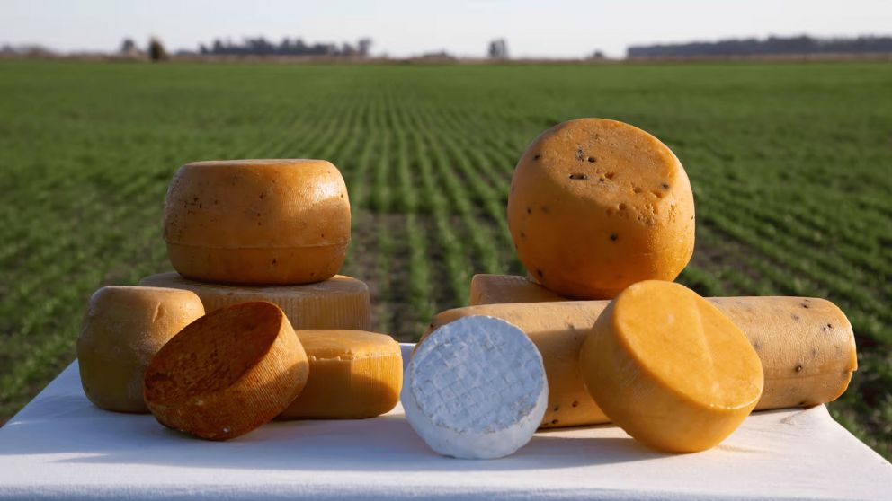 Ni Tandil ni Villa María: La localidad escondida a 2 horas de CABA que tiene el mejor queso