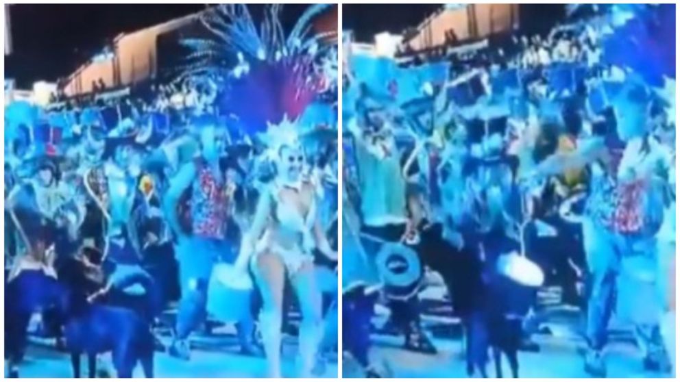 El maltrato al perro quedó grabado por una cámara.