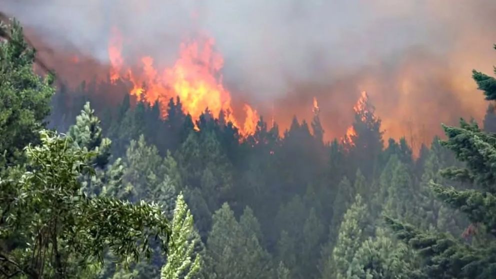Un feroz incendio obligó a evacuar a