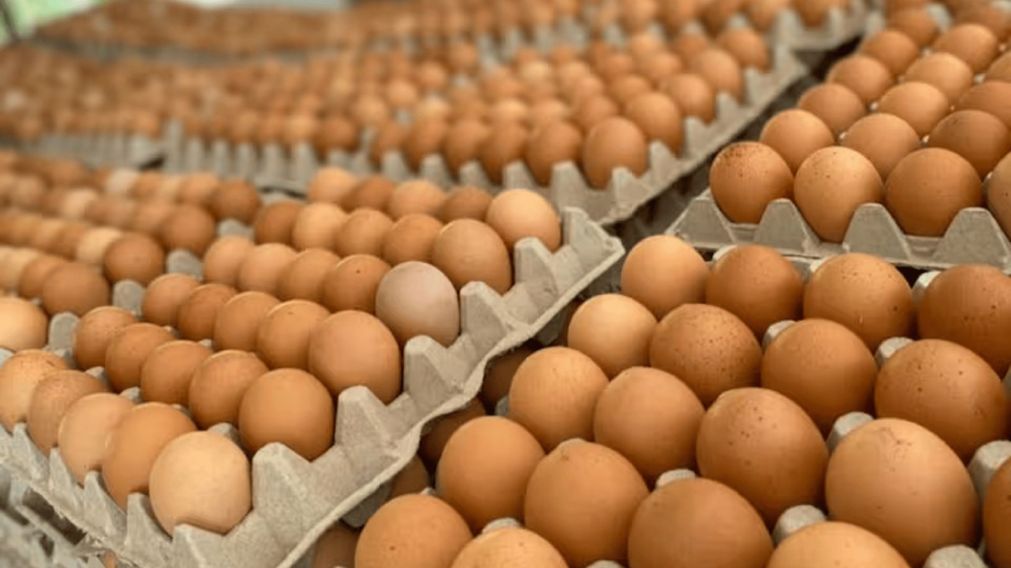 Así se pueden conservar mejor los huevos.