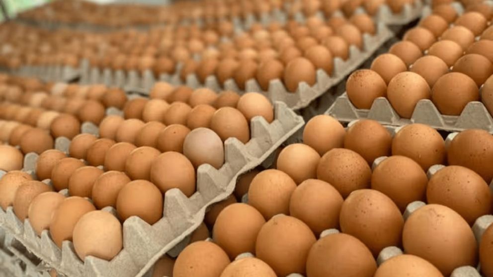 Así se pueden conservar mejor los huevos.