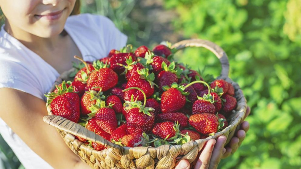 Aprovechá este truco con la fruta en temporada.
