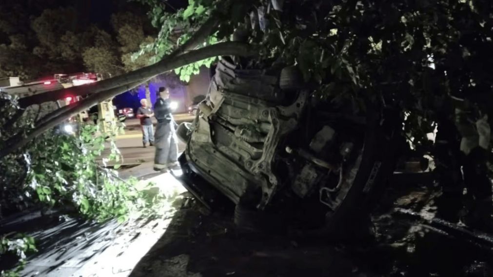 Así quedó el auto tras chocar con un árbol.