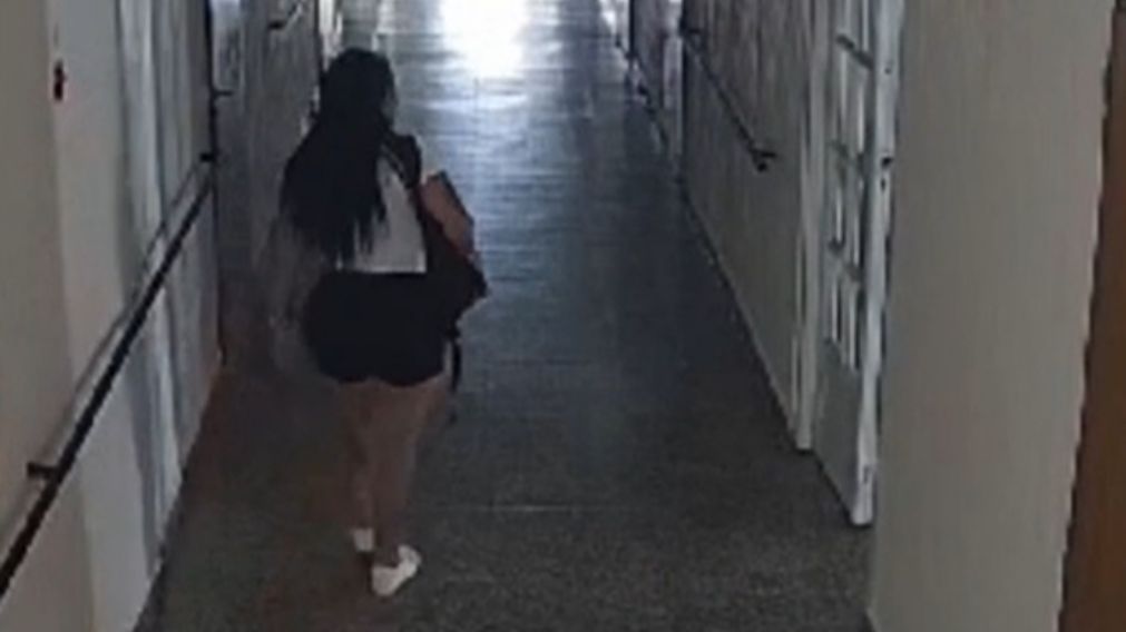 La ladrona de 42 años fue reconocida por las cámaras de seguridad del geriátrico.