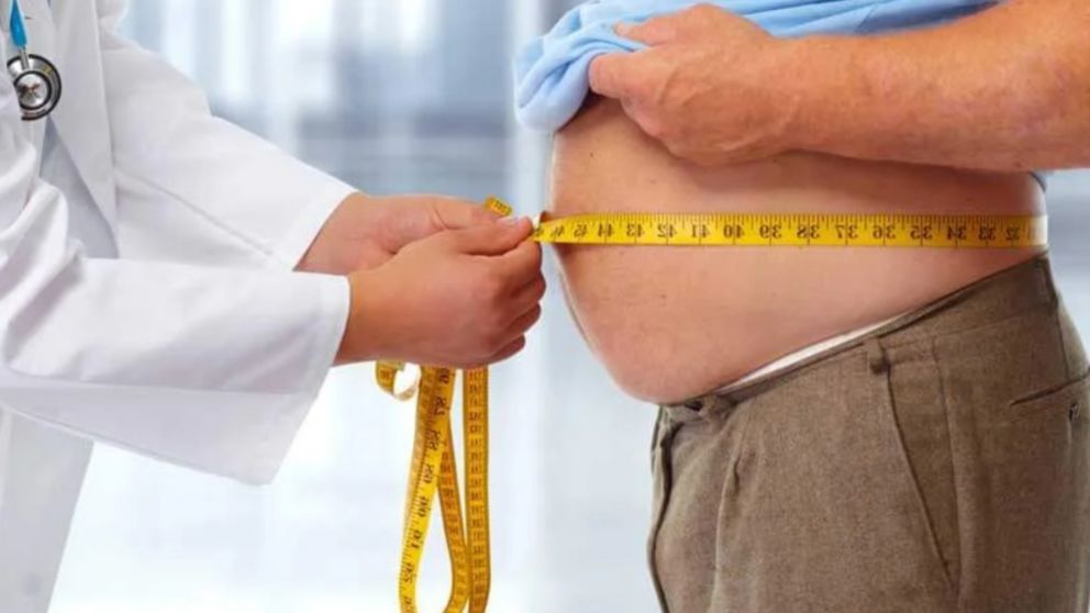 La proteína que podría ser clave en la lucha contra la obesidad
