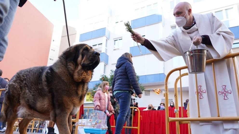 Esta práctica es más común de lo que se cree (Imagen ilustrativa).