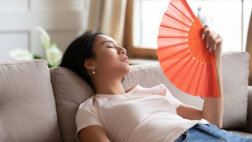 Hay signos que sufren la presencia del calor, según la inteligencia artificial (Imagen ilustrativa).