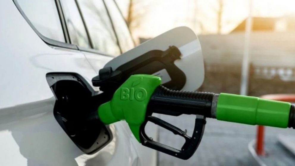 El Gobierno autorizó el aumento el precio del biodiésel (Imagen ilustrativa).
