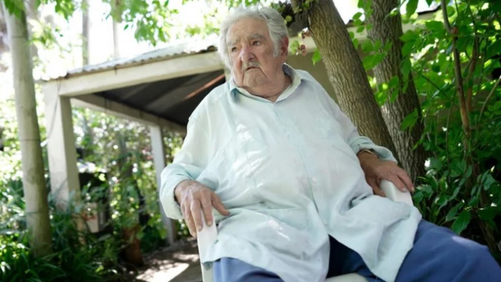 José "Pepe" Mujica concedió una entrevista en su chacra de Rincón del Cerro (Gentileza Búsqueda).