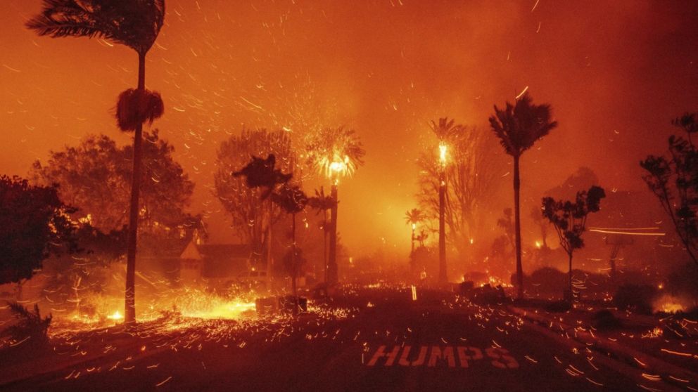 El fuego arras� con miles de hectareas.