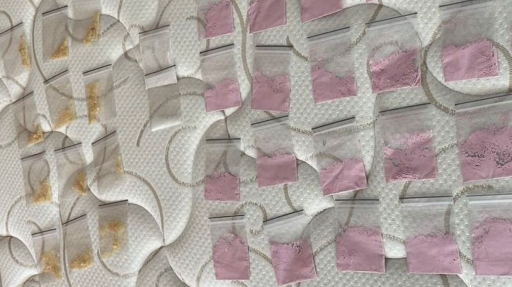 La droga incautada en Punta del Este.