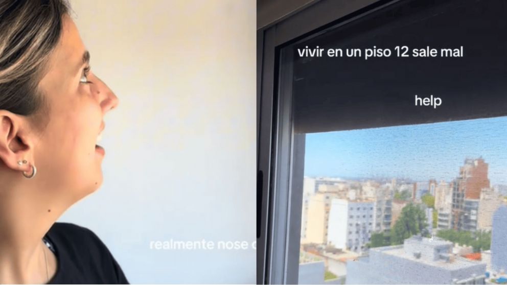 La chica tuvo que acudir a su papá para poder sacar el terrible hallazgo en su persiana (Captura TikTok).