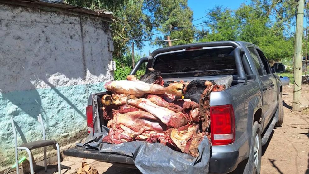 Secuestraron 700 kg. de carne vacuna de animales robados.