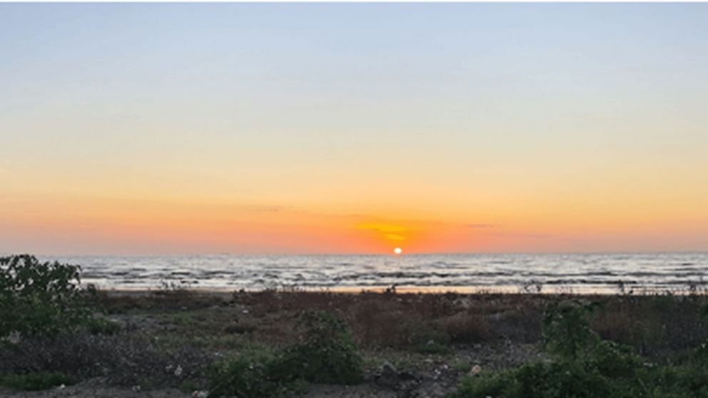 Esc�pate del calor de la ciudad y ad�ntrate en una aventura �nica por una isla "escondida" a pocos minutos del Conurbano.