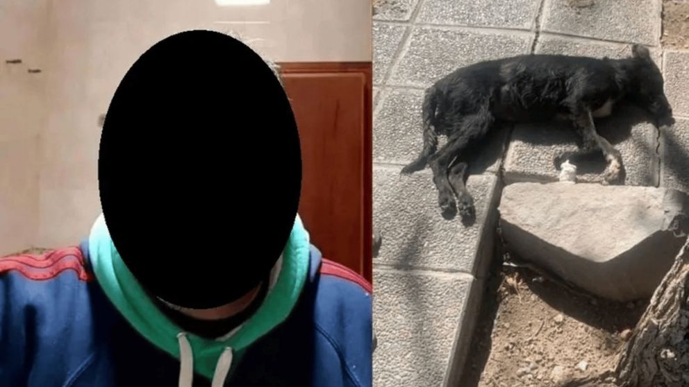 Organizaciones de protección animal organizan una marcha para pedir Justicia.