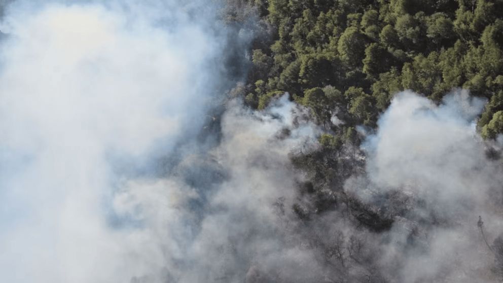 Las llamas están incontrolables desde el 25 de diciembre.
