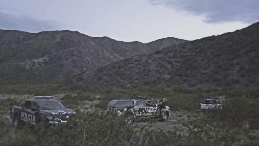 Encontraron a cuatro cazadores en una reserva de la provincia de Mendoza.