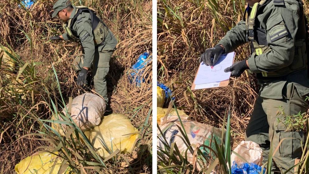 Así encontraron "abandonados" 294 kilos de marihuana