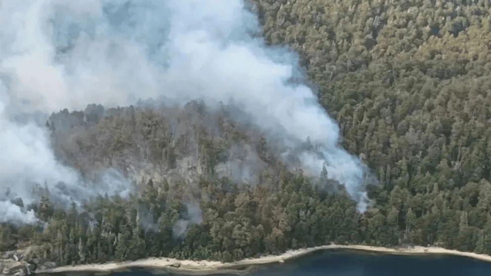 Dos aviones hidrantes realizaron lanzamientos de agua y un helicóptero sobrevoló la zona para analizar el despliegue de los brigadistas y los puntos de trabajo.