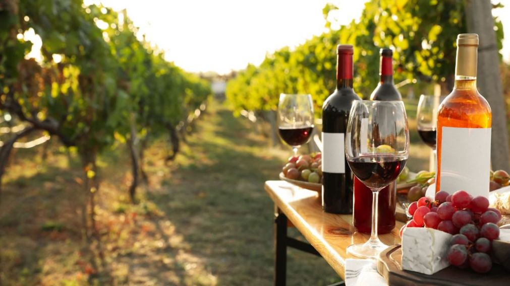 Vacaciones en la Ruta del Vino Bonaerense: una alternativa que pocos conocen y vale la pena visitar.