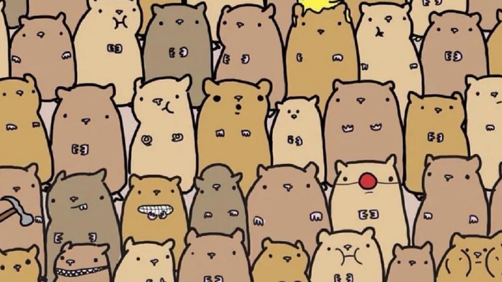 Reto visual: encontr� la papa escondida entre los h�msteres en menos de 10 segundos.