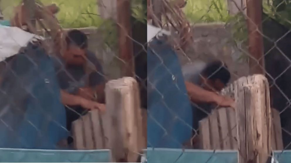 Un vecino grabó la escalofriante escena y ahora exigen Justicia por la perra (Captura video).