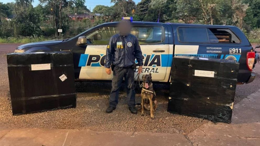Mandó 128 kilos de marihuana por encomienda y así lo descubrieron